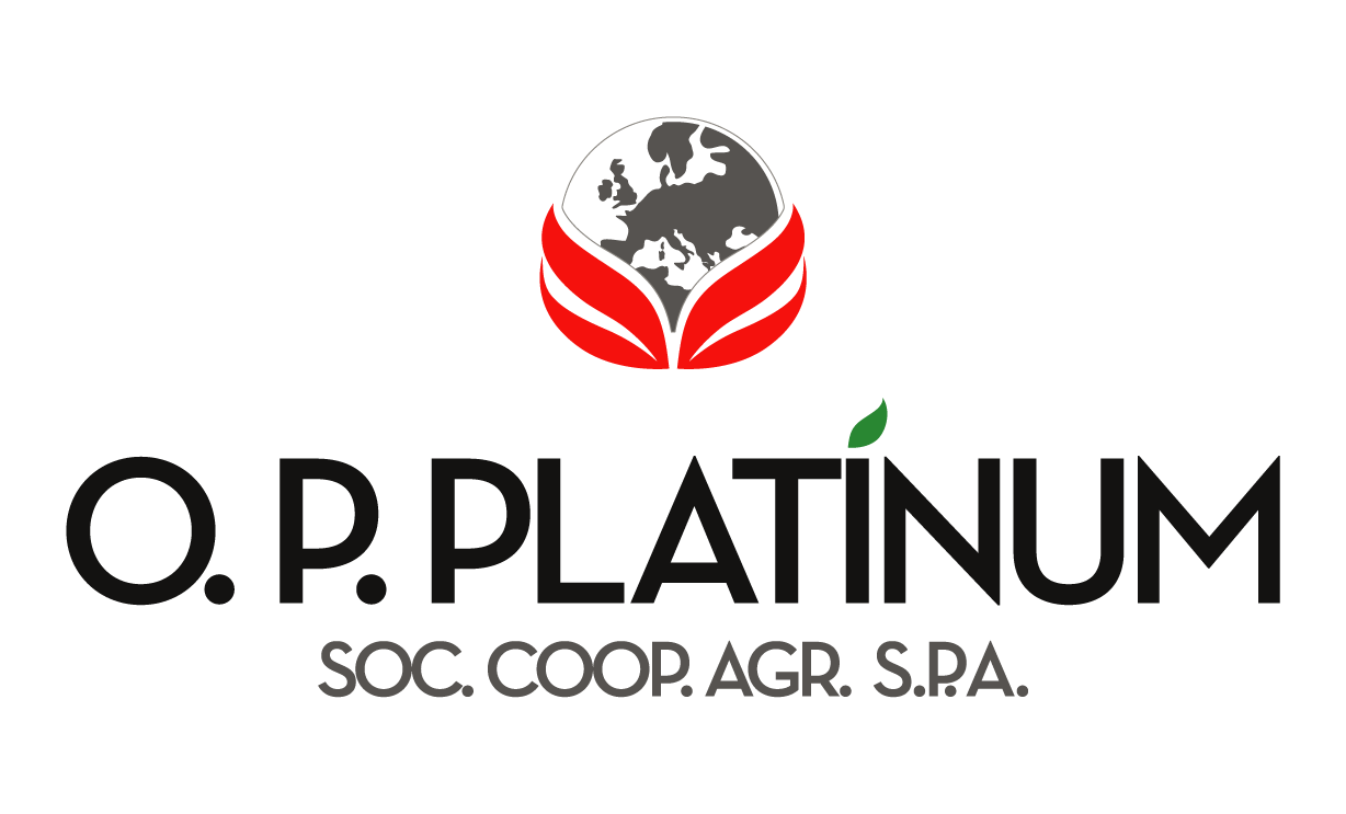 Passata di Pomodoro Nickel Free OP Platinum
