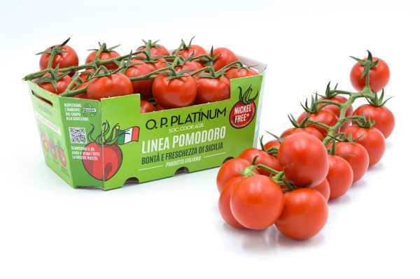 Ciliegino Nickel-Free 500gr