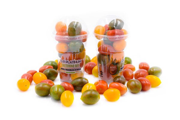 Pomodoro Datterino Mix Colorato 250gr - immagine 3
