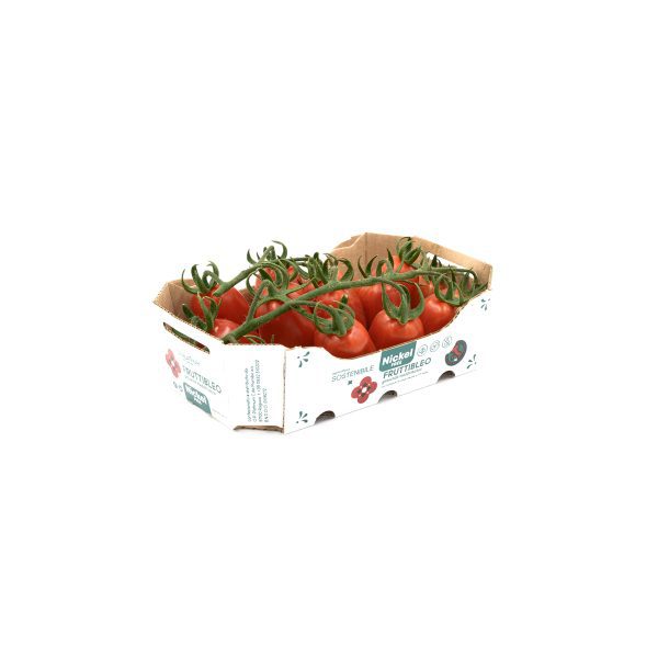 pomodoro datterino rosso fruttibleo o.p. platinum