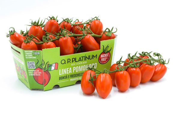 Pomodoro Datterino Rosso nickel free 500gr