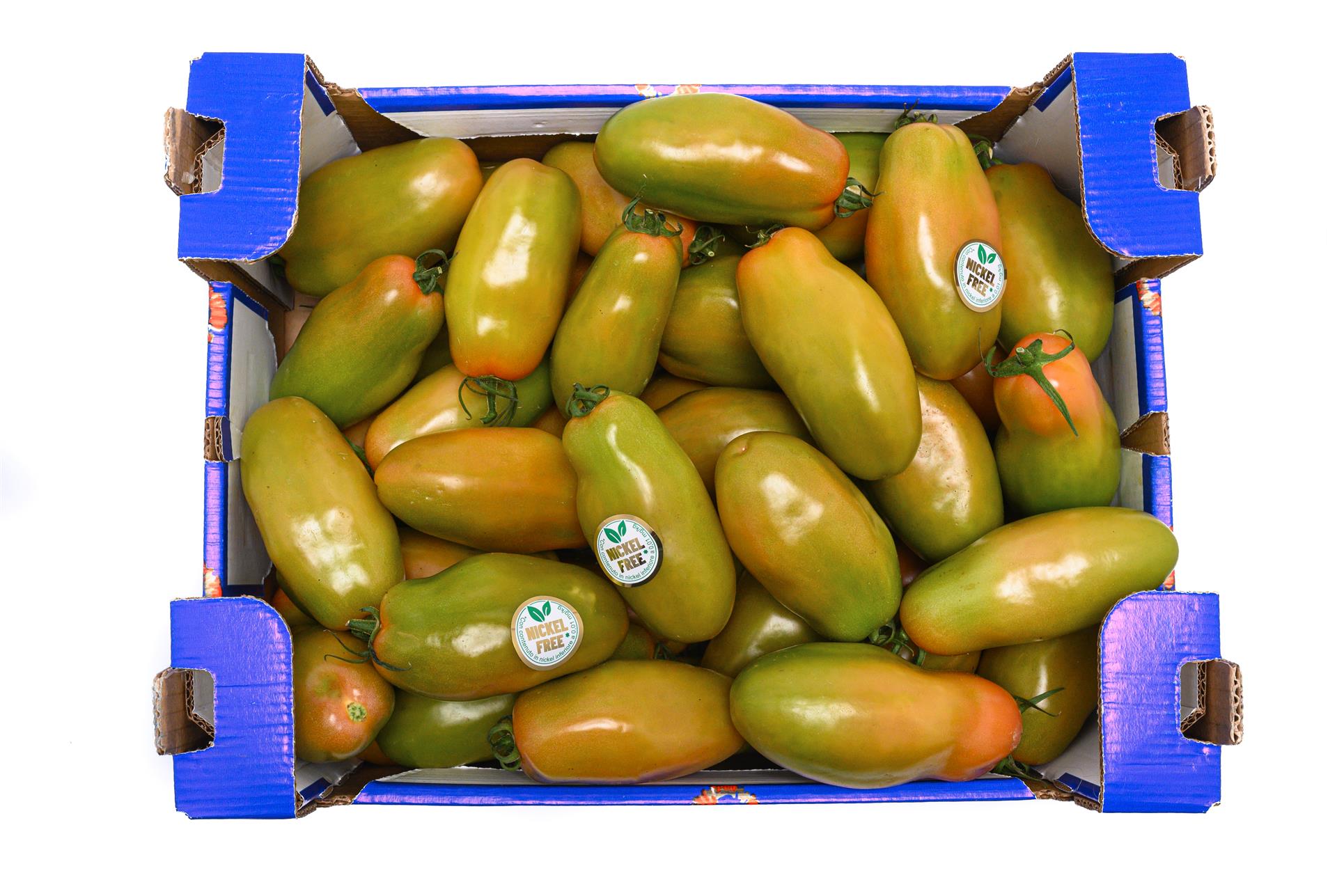 pomodoro oblungo fruttibleo o.p. platinum 3