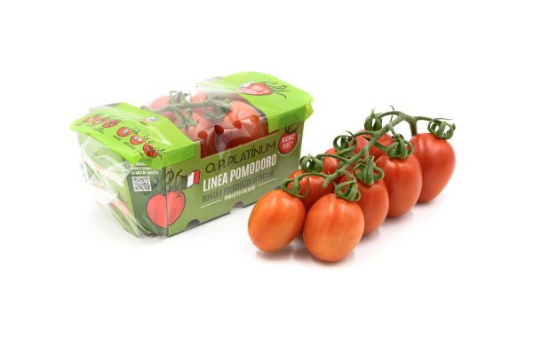 Pomodoro Piccadilly nickel free 500gr