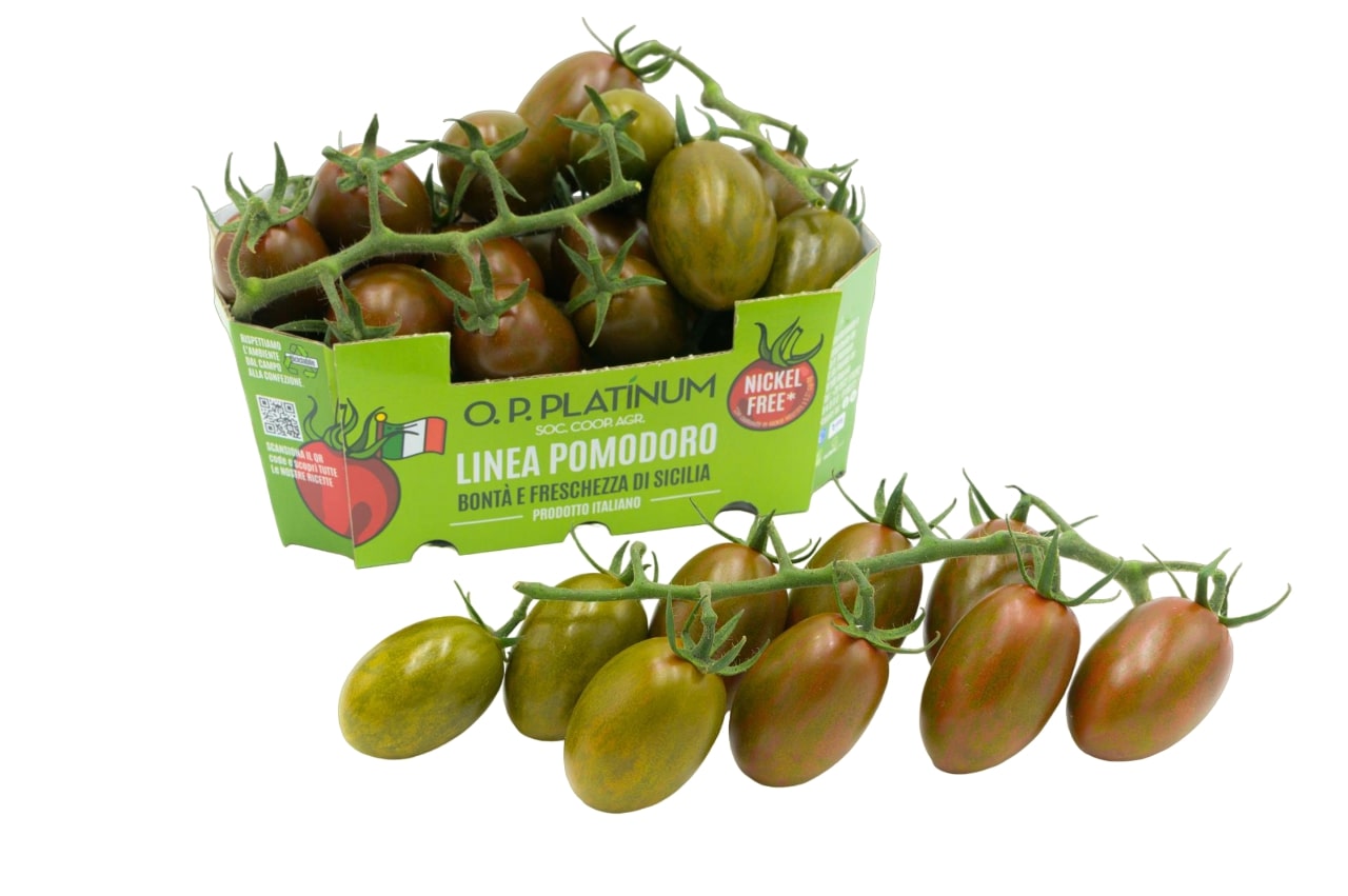 pomodoro tomochoc nickel-free o.p. platinum 1_